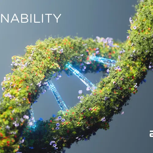 Sustainability Report 2024